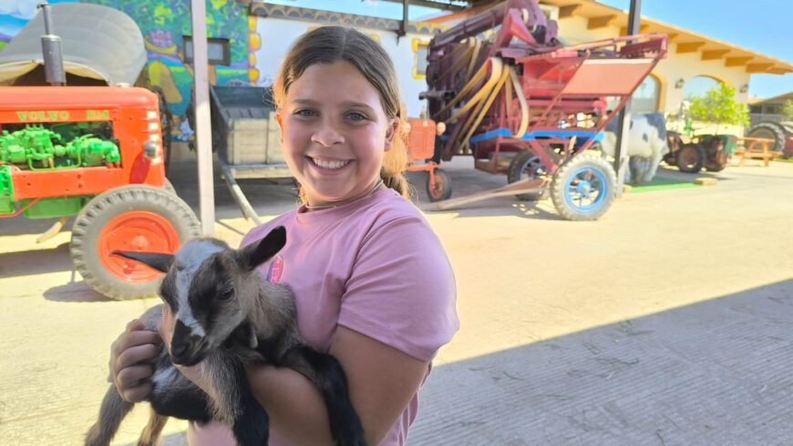 Salida a la granja Mas Bes